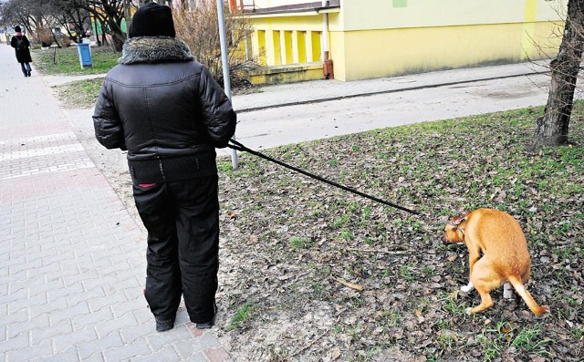 Psie kupy na chodnikach. Skwery i trawniki zamienione w gnojowiska. Gratulujemy tej pani kultury!