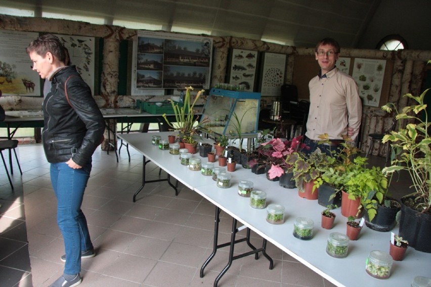 Zapraszamy do odwiedzania Arboretum Leśnego im. prof. Stefana Białoboka w Stradomi koło Sycowa (GALERIA)