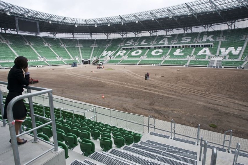 Wrocław: 100 tysięcy euro na nową murawę stadionu na Pilczycach (ZDJĘCIA)