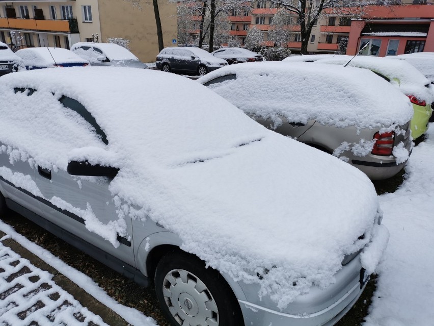 Policja ostrzega. 500 złotych mandatu za jazdę samochodem pokrytym śniegiem lub z oszronionymi szybami