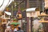 Zoo: Wystawa &quot;DREMELowy karmnik&quot; otwarta