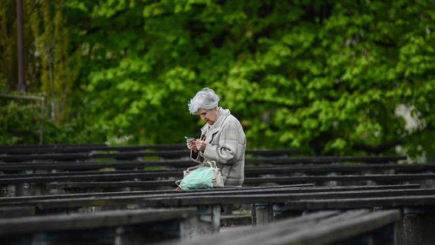 W bydgoskim "Witosie" wytną 117 drzew. Modernizacja parku budzi wątpliwości