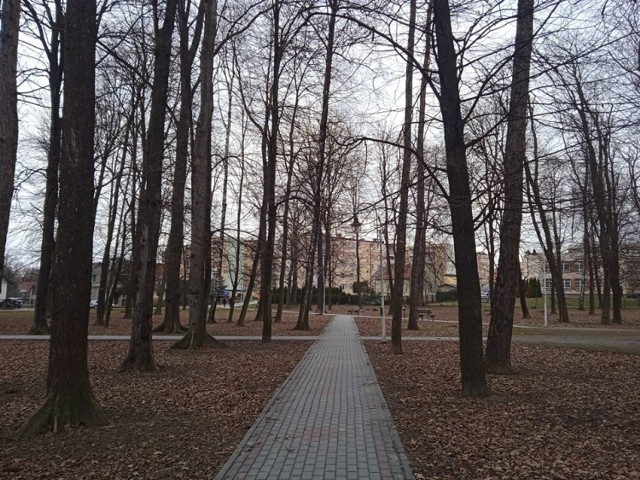 Park Miejski w Kańczudze, z którego usunięto gniazda gawronów.
 Kostka cała w odchodach gawronów pokazuje, jak kłopotliwy był to problem dla mieszkańców.