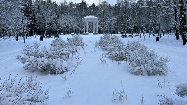 Park Zielona w Dąbrowie Górniczej w zimowej odsłonie 

Zobacz kolejne zdjęcia/plansze. Przesuwaj zdjęcia w prawo naciśnij strzałkę lub przycisk NASTĘPNE