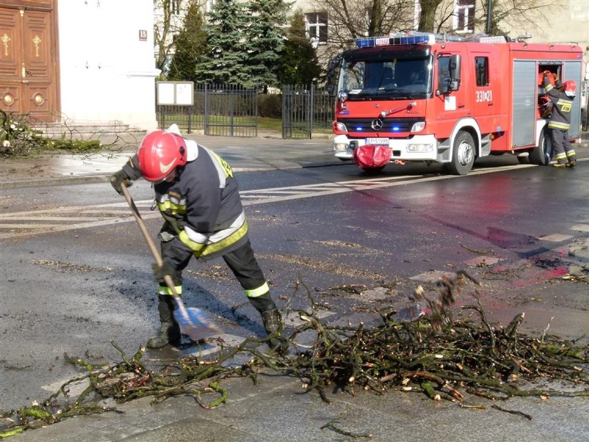 Strażacy usuwali z jezdni drzewo, które przewróciło się na...