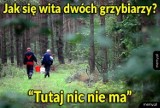 "Tutaj nic nie ma", czyli Janusz na grzybach. Zobaczcie najlepsze memy!