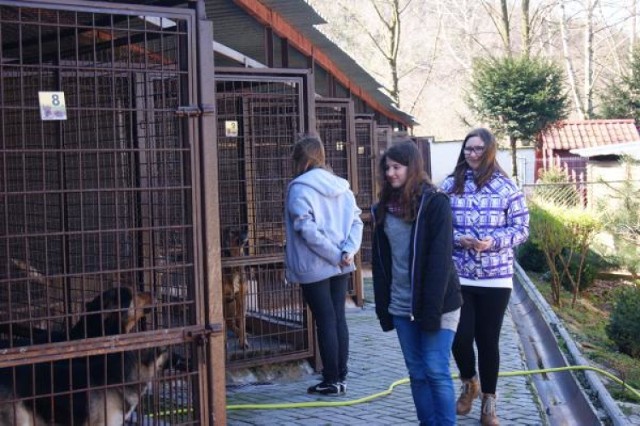 W ramach akcji charytatywnej "Podaj łapę" gimnazjaliści odwiedzili schronisko dla zwierząt