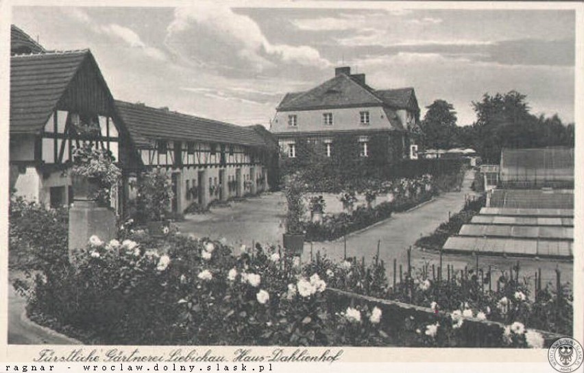 Palmiarnia w Wałbrzychu przed II wojną światową