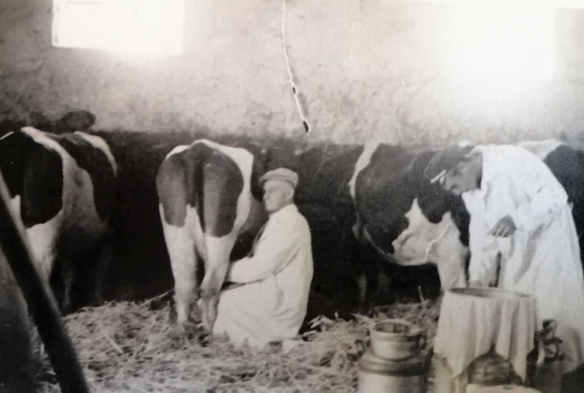 Ponad 60 lat historii głogowskiej „Przyrodniczej" na fotografiach. Zdjęcia z kronik szkolnych