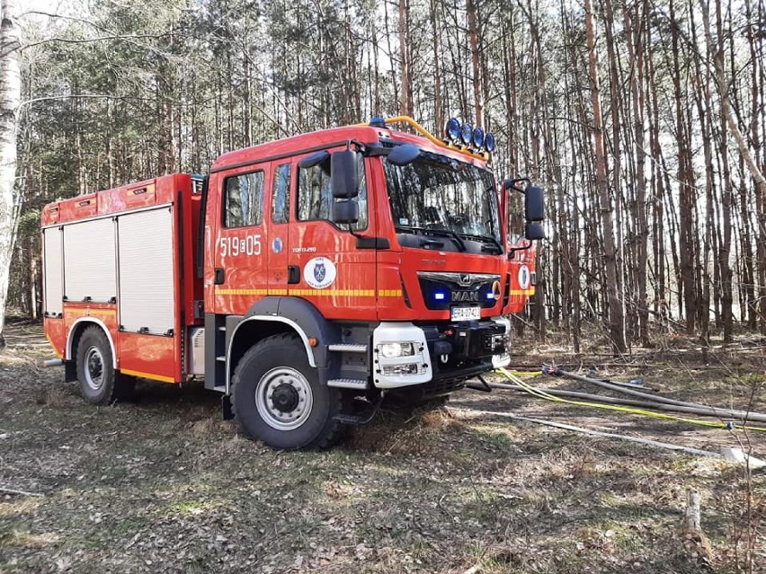 Radomsko/powiat. Strażacy walczą z pożarami suchych traw i lasów