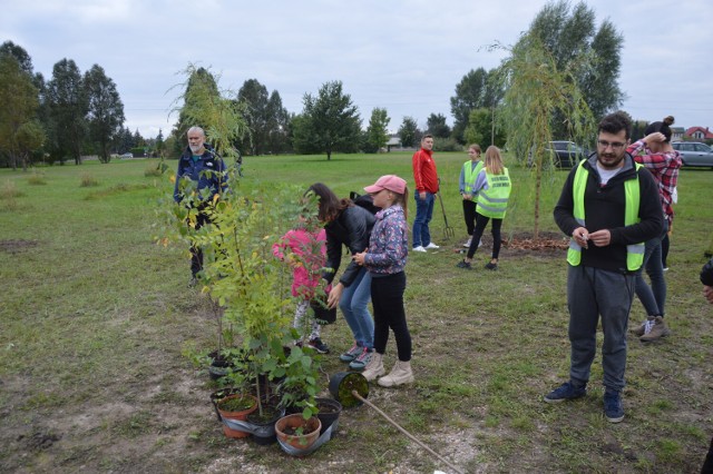 W Zduńskiej Woli znów sadzono las. To kolejna akcja stowarzyszenia Zielona Wola