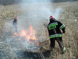 Plaga wypalania traw w Świętokrzyskim