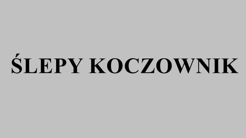 Burmistrz Puszek, Łysy Kiler, Pimpek i inne. Oto pseudonimy osób poszukiwanych przez lubelską policję (cz. II)