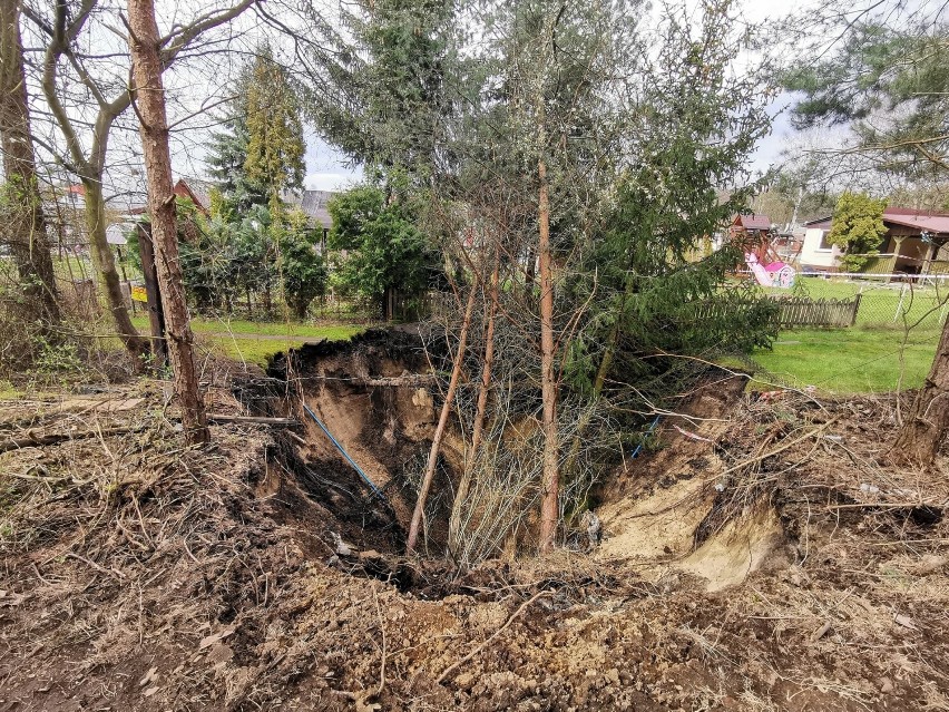 Zapadlisko na ogródkach działkowych w Trzebini