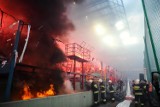 Wisła Kraków wprowadza zakaz „sektorówek” na meczach „Białej Gwiazdy”