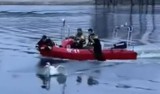 Udana akcja na Zalewie Pasternik w Starachowicach. Ranny łabędź został uratowany. Zobaczcie zdjęcia