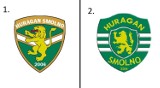 Huragan Smolno zmienia logo. Jaki herb będą miały Lwy ze Smolna?