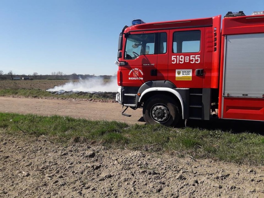 Bierutów: OSP interweniowała do pożaru trawy [FOTO]