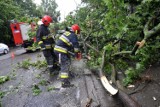 Nawałnica w Beskidach: silny wiatry łamał drzewa