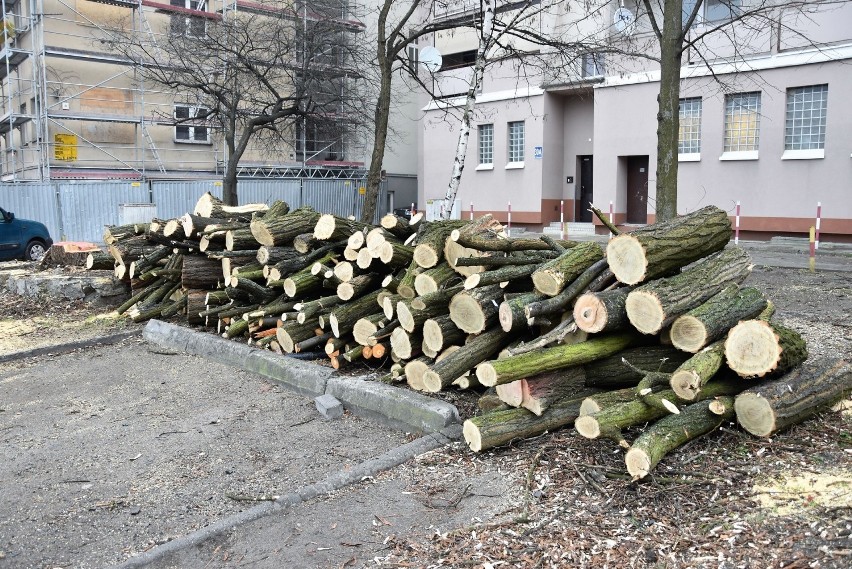 Drzewa w podwórzu ul. Krakowskiej w Opolu wycięte. Trwa rewitalizacja [ZDJĘCIA]
