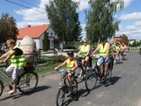 Rozdrażewskie kobietki zorganizowały rajd ku chwale zdrowego ciała i ducha [FOTO] 