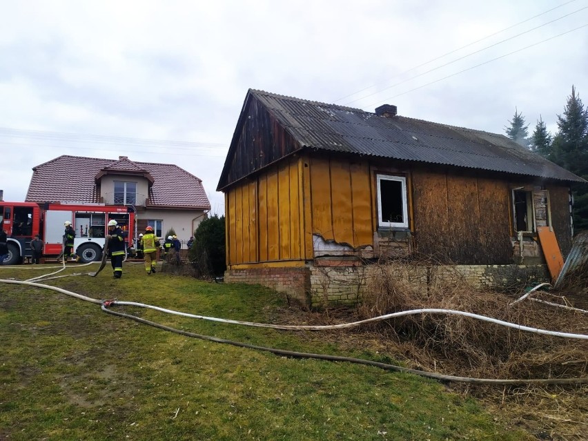 Krasnystaw. Uratowano starszą kobietę i dwa psy z płonącego domu