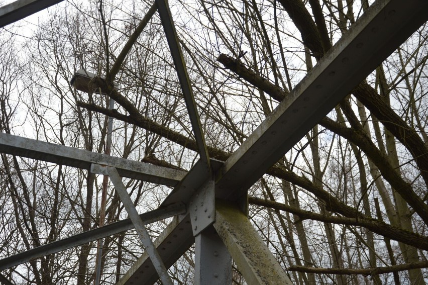 Kolejne drzewo leży na konstrukcji mostu Kolejarzy w...