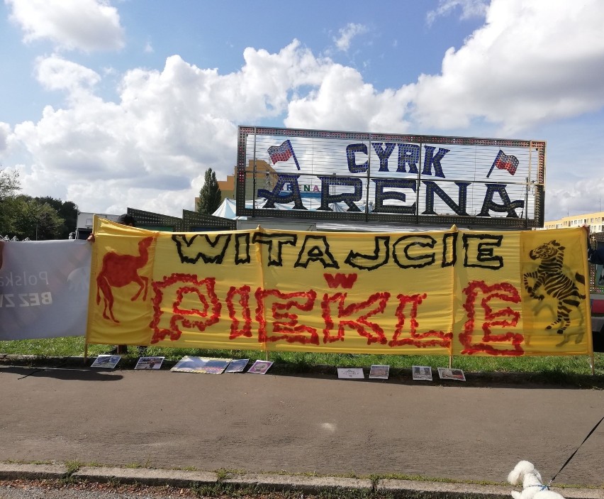 Protest przed cyrkiem Arena we Wrocławiu