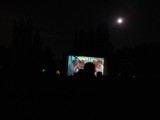 Kino pod gołym niebem w parku chorzowskim