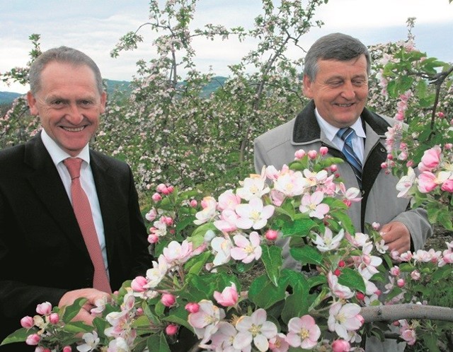 Sadownicy Zbigniew Frączek (z lewej) i Józef Sułkowski dobrze prognozują na tegoroczne zbiory