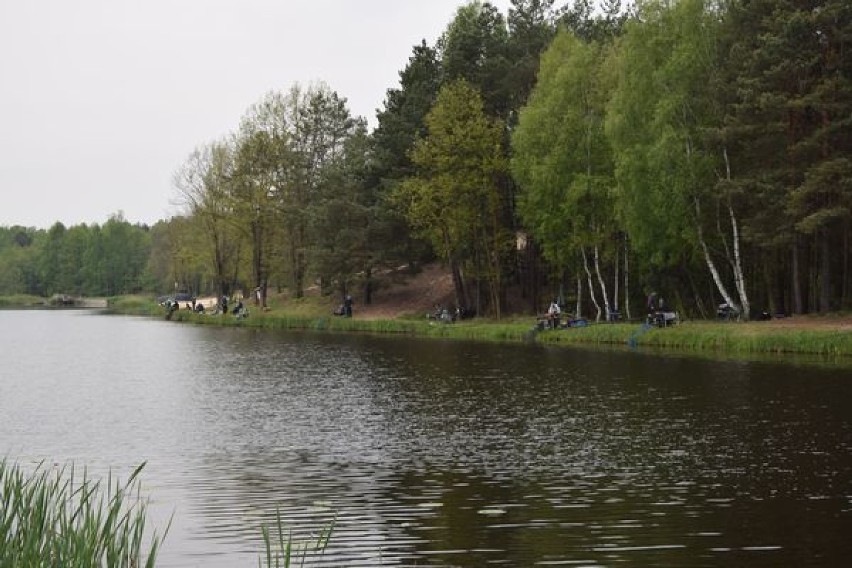 Zawody wędkarskie na zbiorniku Patyki o puchar burmistrza Zelowa