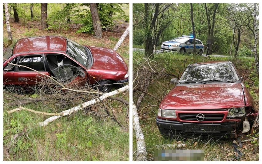 Groźny wypadek we Włocławku. Kierowca opla wjechał do lasu i uderzył w drzewo [zdjęcia]