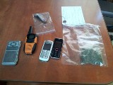 Policja znalazła marihuanę u mieszkańca Szczercowa
