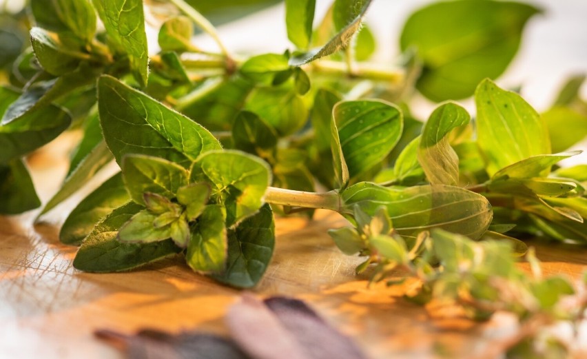 Majeranek jest popularnym ziołem używanym zarówno w naszych...