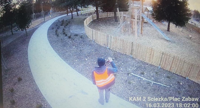 Ukradł krzewy z nowego parku w Mieścisku. Wszystko zarejestrowały kamery monitoringu 