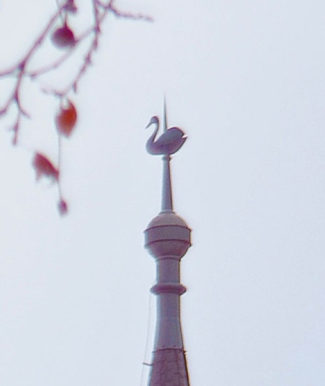 "Pierzaste" szczycą szczyty opolskich wież