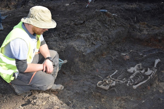 Podczas prac rewitalizacyjnych między kościołem a kostnicą w Sępólnie Krajeńskim archeolodzy natknęli się ludzkie szczątki. Archeolog Maciej Miścicki z UW wyjaśnia, skąd ich pochodzenie