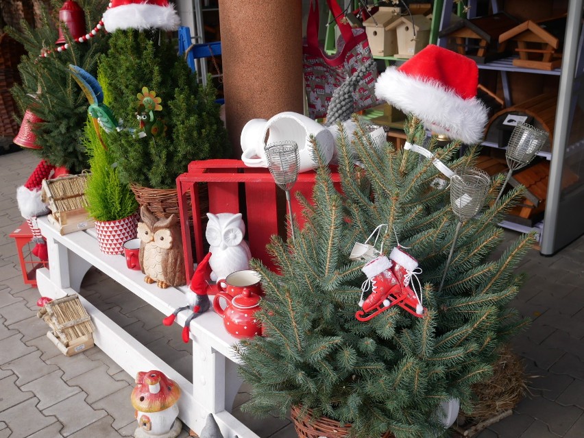 Kiermasz bożonarodzeniowy w Ogrodach Kapiasów w Goczałkowicach Zdroju [ZDJĘCIA]. Jest mnóstwo ozdób, drzewek i gadżetów 