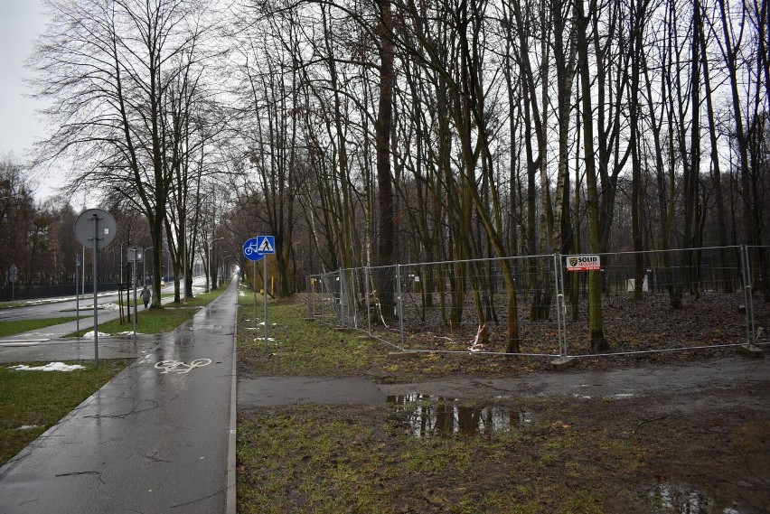 Odcinek gazociągu przecinający Oświęcim biegnie od Wisły...