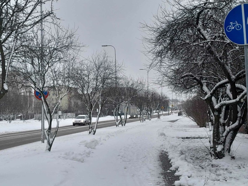 Zima w Bełchatowie, styczeń 2024