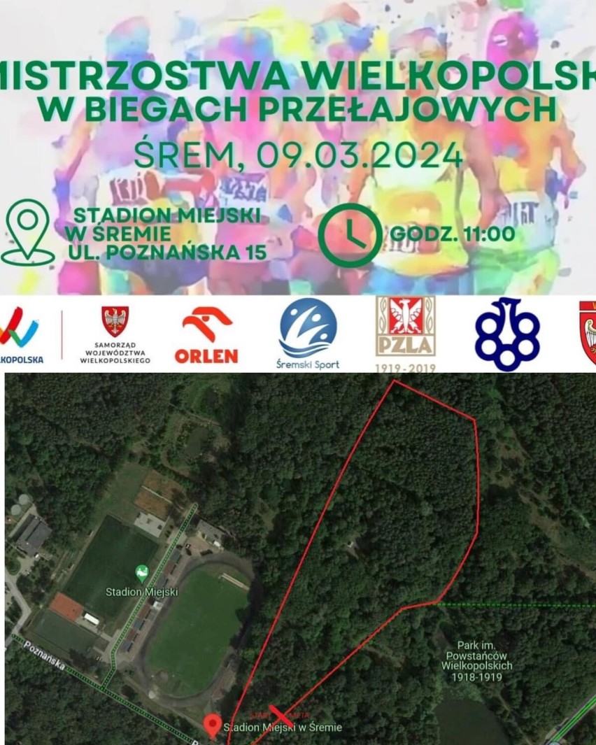 Mistrzostwa Wielkopolski w biegach przełajowych