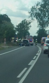 Śmiertelny wypadek w Toporzysku. Auto wpadło do rowu
