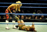 Seksowne divy na gali WWE w Ergo Arenie Gdańsk/Sopot [zdjęcia]