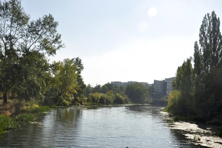 Wrocław: Będą tereny rekreacyjne wzdłuż rzeki Oława