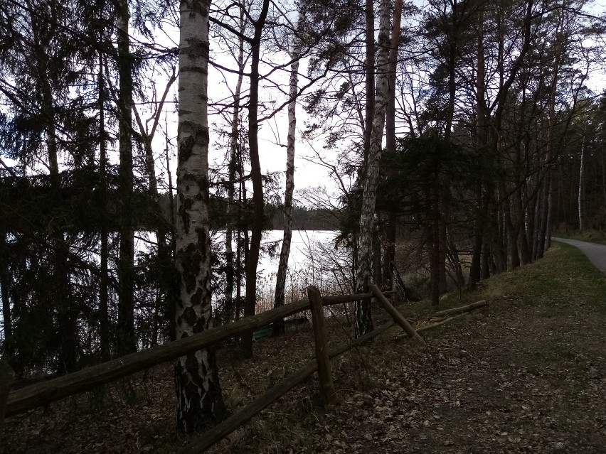 Na spacer do parku lub lasu, na rower, na rolki - Jaśkową Drogą, wzdłuż trasy przemysłowej