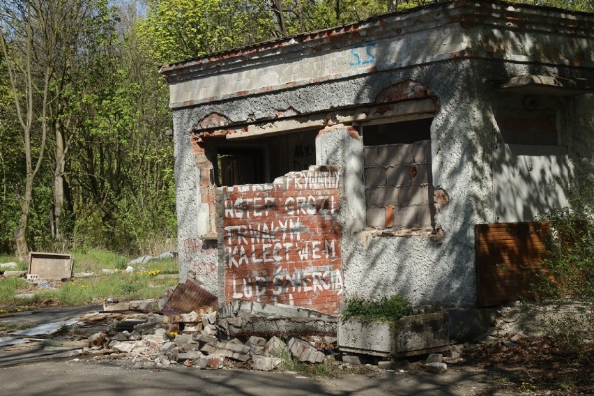 Gigantyczny szpital w Lasku Złotoryjskim popada w kompletną ruinę [ZDJĘCIA]