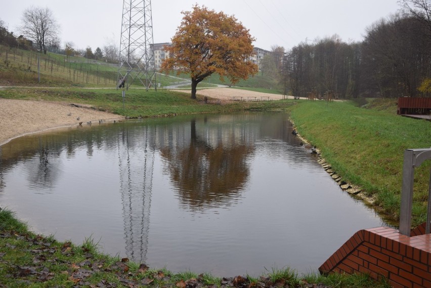 Dolina Gęśnika późną jesienią. Nawet o tej porze roku...