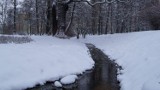 Z bloga MM: Stary Kanał Bydgoski w zimowej szacie