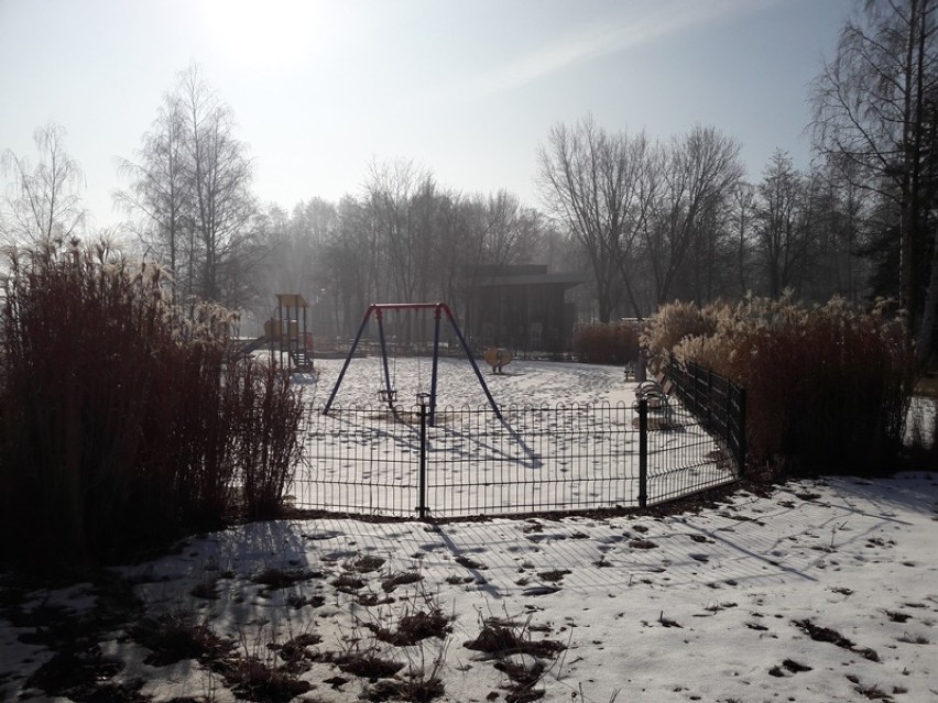 Zima w Parku Wrocławskim. Co słychać o mieszkańców minizoo? (FOTO)