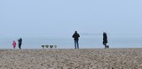 W Gdańsku wyłowiono ciało kobiety. Zwłoki dryfowały przy plaży na Stogach. 2.01.2023